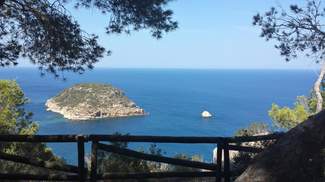 Javea Golden Beach 1 Arenal Beach المظهر الخارجي الصورة